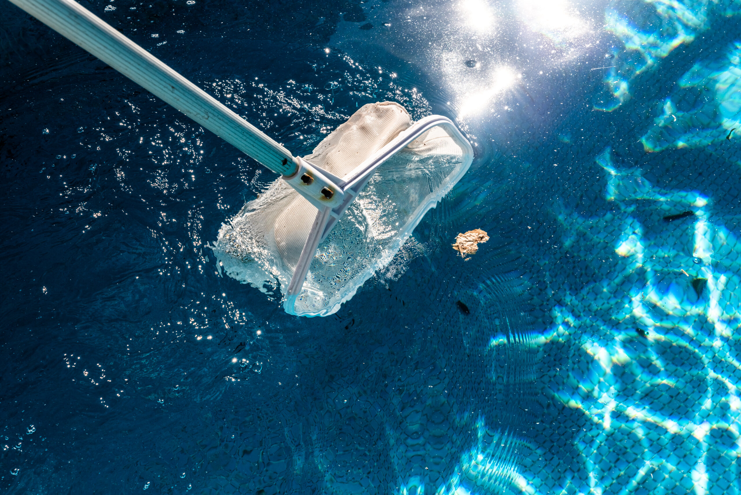 Épuisette retirant des débris de l'eau, une tâche courante liée au coût d'entretien d'une piscine