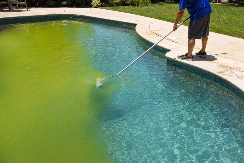 Eau de piscine trouble et verdâtre en cours de traitement avec une brosse de nettoyage manipulée par un préposé