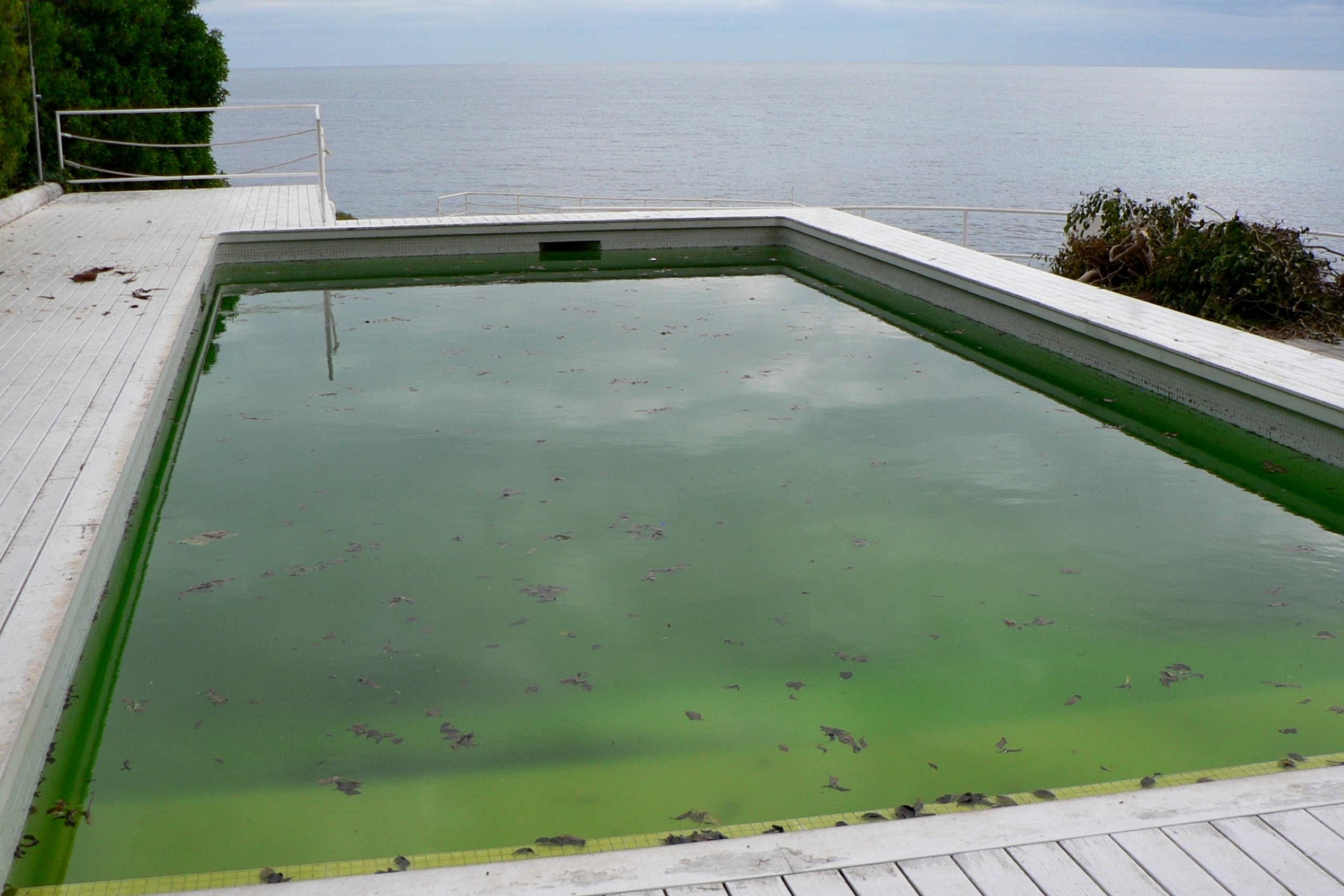 eau de piscine verte